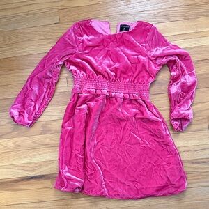 Crewcuts Pink Velvet Long Sleeve Dress